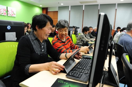 聚焦五大功能，賈煒為上海學習型城市建設注入高質量教育咨詢服務新動能
